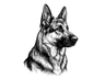 Klaus